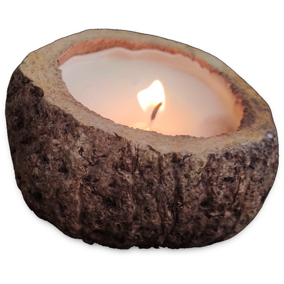 Vela Proteção da Floresta