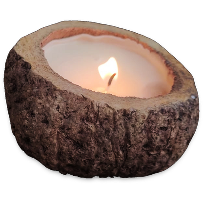 Vela Proteção da Floresta